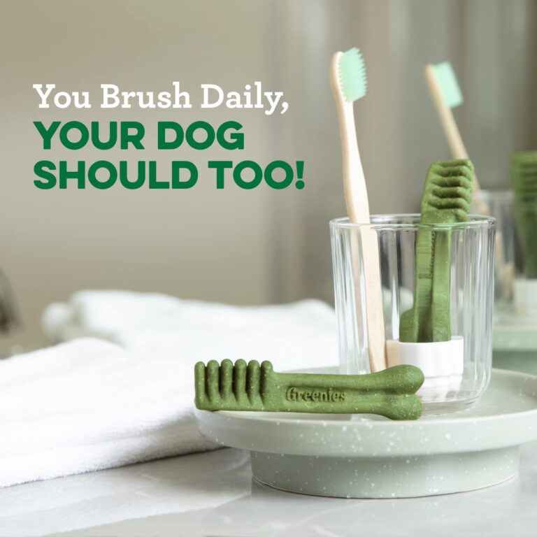 Greenies Original Regular Dental Chews for Your Pup’s Oral Health